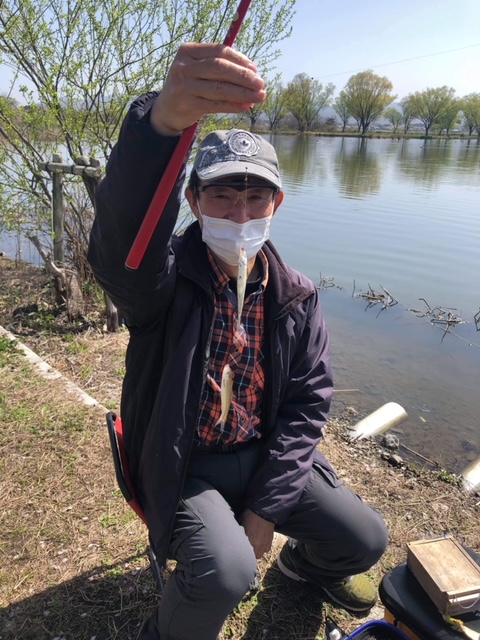 滋賀県の淡水ウキ釣りで本モロコ釣果