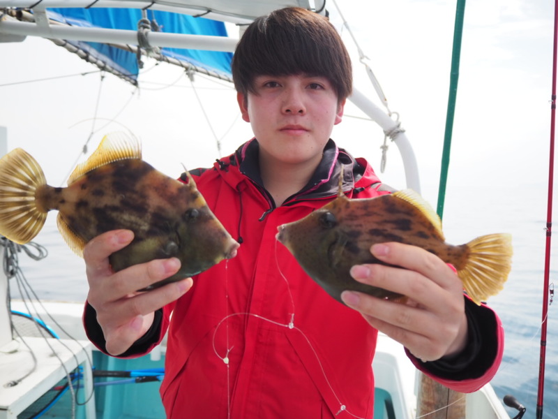 徳島県阿南市水天丸の船釣りでカワハギ釣果