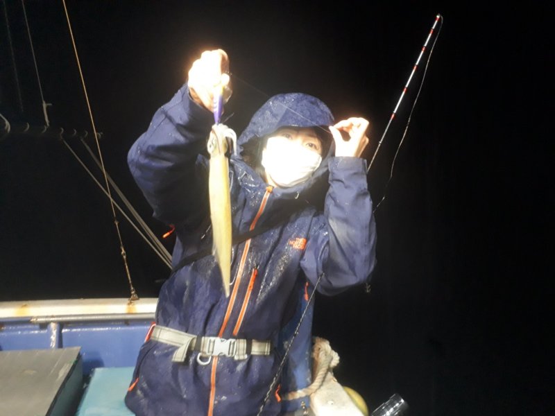 福井県小浜市丸吉丸の船釣りでマイカ・麦イカ・ヤリイカ釣果
