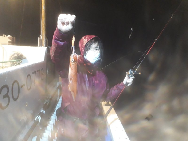 福井県小浜市丸吉丸の船釣りでマイカ・麦イカ・ヤリイカ釣果