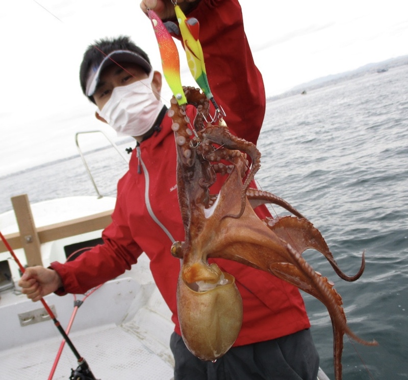 兵庫県神孝丸の船釣りでタコ釣果