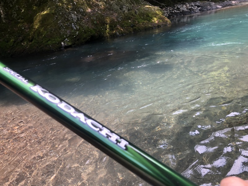 和歌山県日高川ダム上の鮎友釣りで鮎釣果