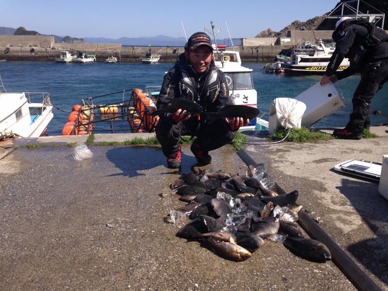 【愛媛県由良半島】フカセでグレ釣果