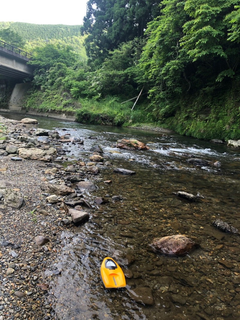 滋賀県安曇川朽木の友釣りで鮎釣果