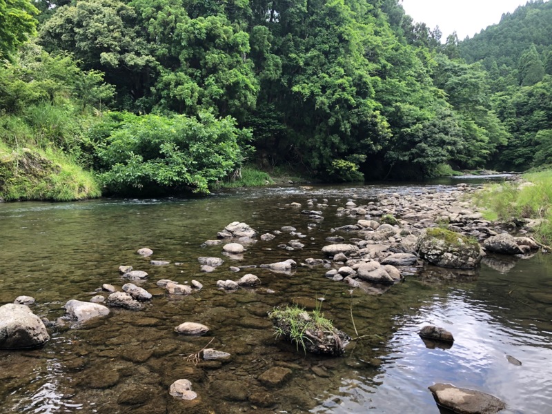 滋賀県安曇川朽木の友釣りで鮎釣果