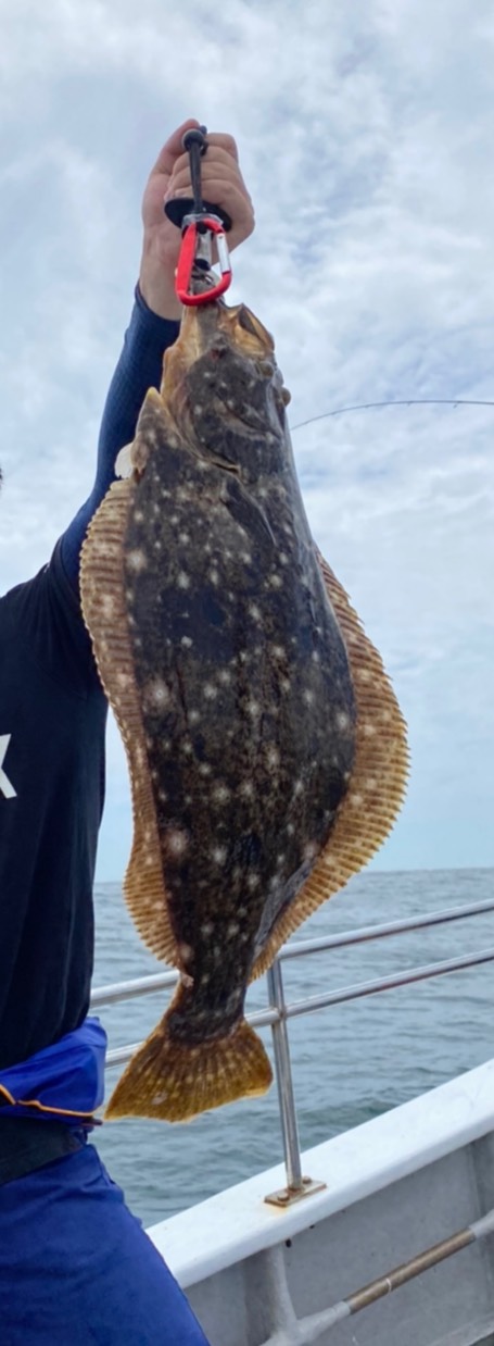 三重県ワンステップのSLJでイサキ・アカハタ釣果