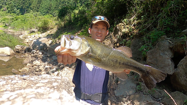 三重県正連寺ダムのルアーフィッシングでブラックバス釣果
