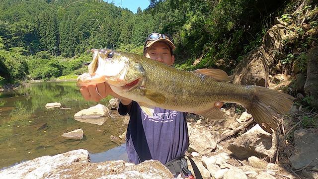 三重県正連寺ダムのルアーフィッシングでブラックバス釣果