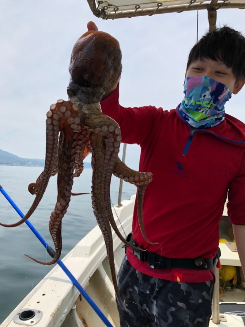 兵庫県垂水沖大ちゃん丸の船釣りでタコ釣果