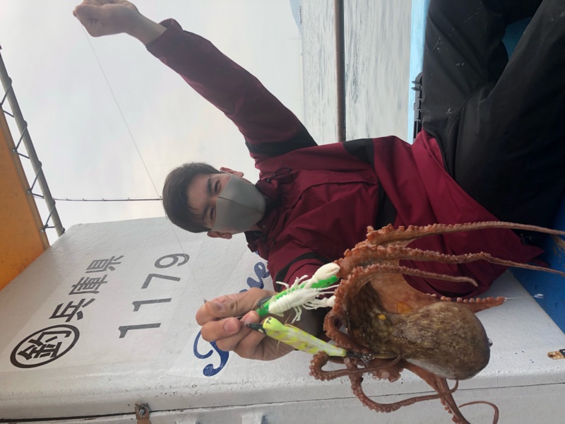 兵庫県明石ステイゴールドの船釣りでタコ釣果