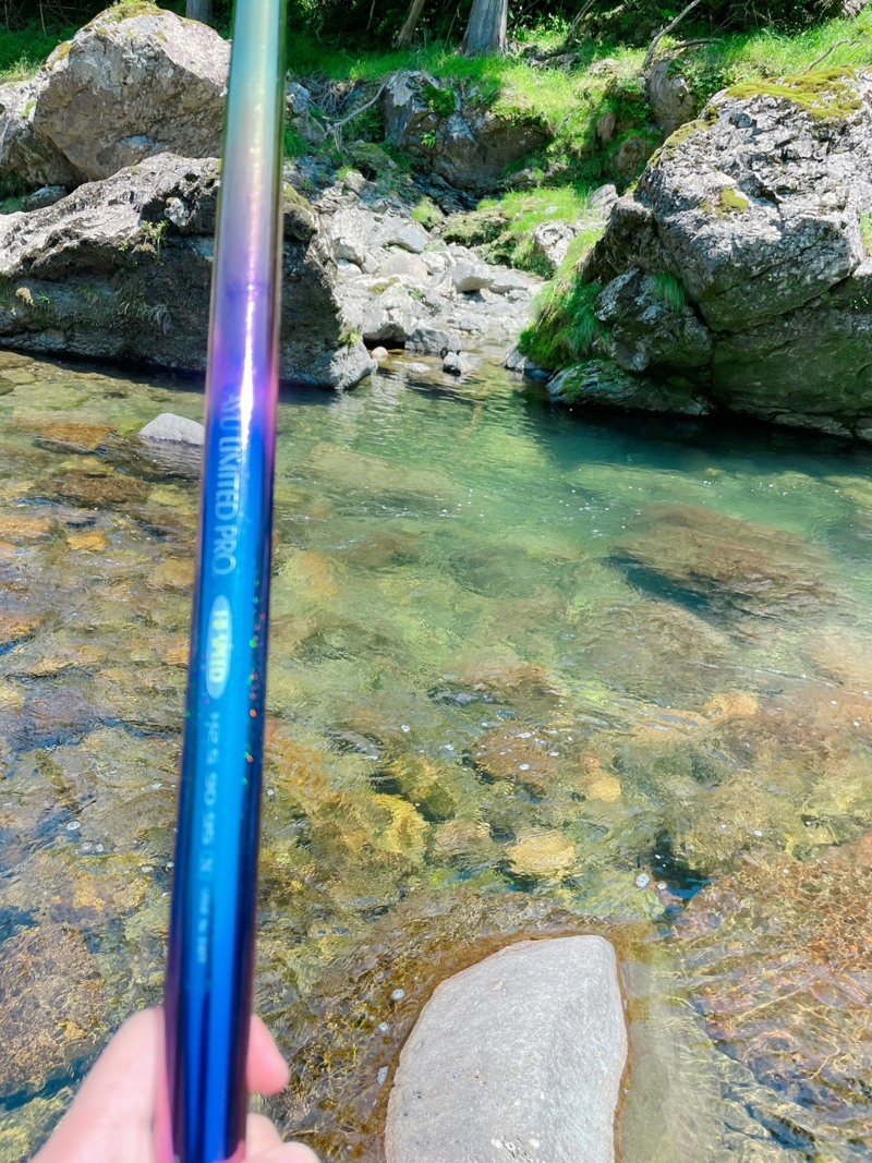 奈良県天川村の友釣りで鮎釣果