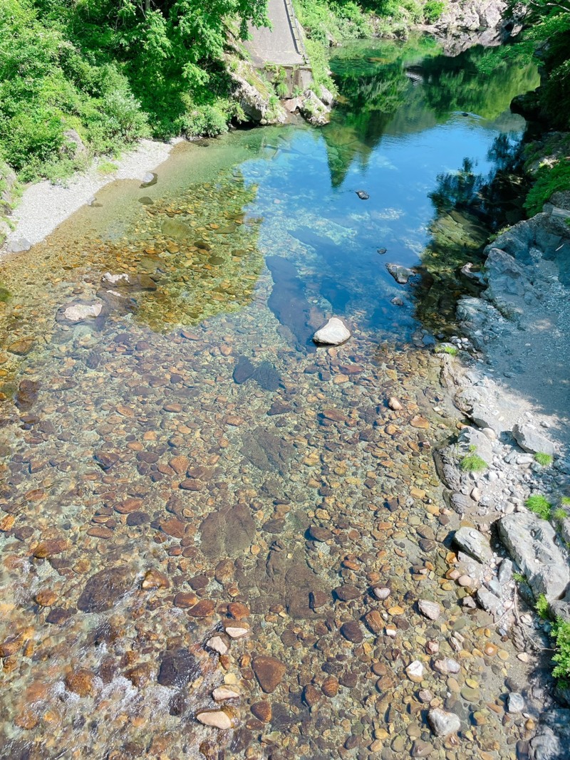 奈良県天川村の友釣りで鮎釣果