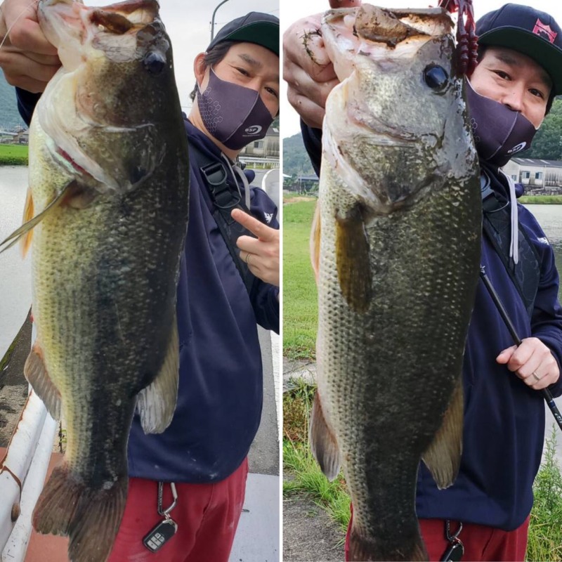 香川県ため池群のルアーフィッシングでブラックバス釣果