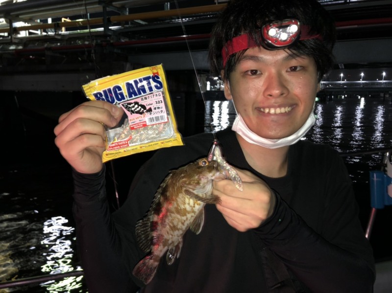 大阪府チェイスの船釣りでアコウ・ガシラ・キビレ釣果