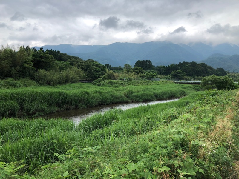 滋賀県高島市マキノ町の淡水エサ釣りで小鮎釣果