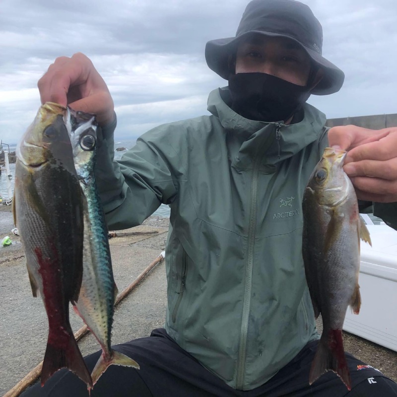 和歌山県印南庄門丸の船釣りでイサキ・サバ釣果