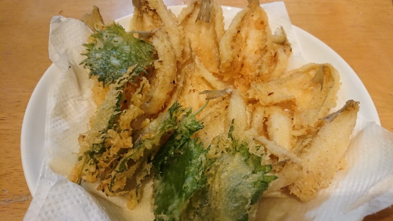 兵庫県姫路家島知々丸の船釣りでキス釣果