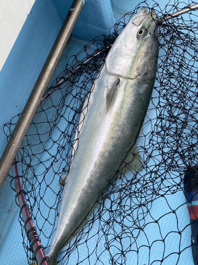 和歌山県さぶろう丸の船釣りでブリ・鯛釣果
