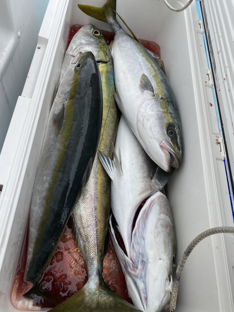 和歌山県さぶろう丸の船釣りでブリ・鯛釣果