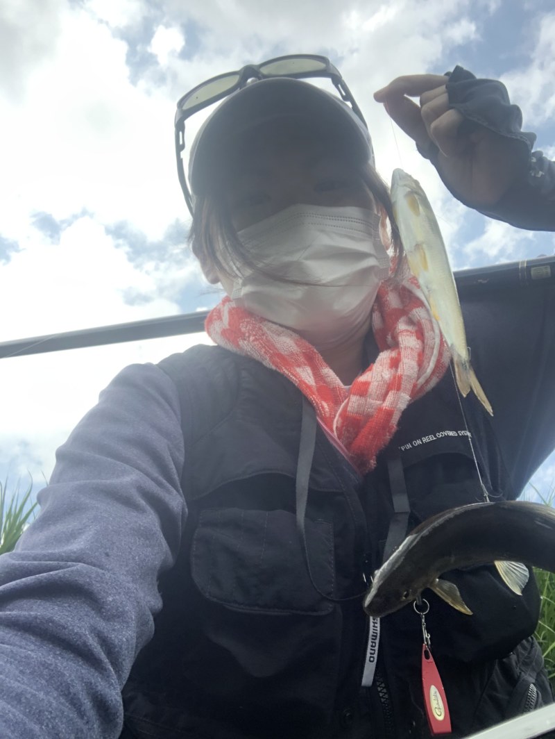 福井県の小浜で鮎釣果