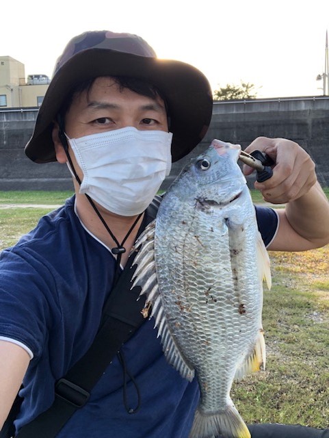 和歌山県紀ノ川のチニングでチヌ・キビレ釣果
