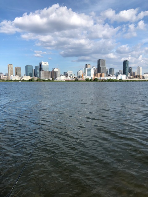 和歌山県紀ノ川のチニングでチヌ・キビレ釣果