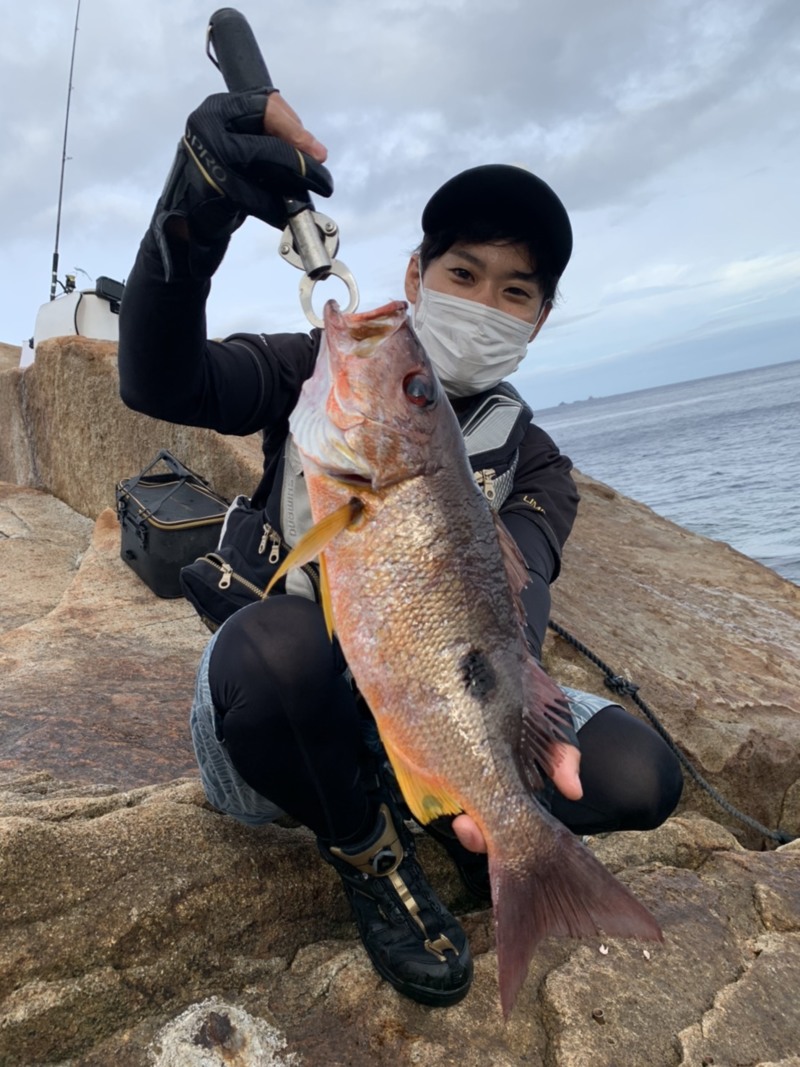 高知県沖ノ島のフカセ釣りでグレ・イサキ・クロホシフエダイ釣果