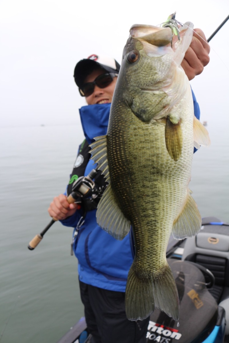 「琵琶湖」ブラックバス|スイムジグで春のウィードエリア攻略!