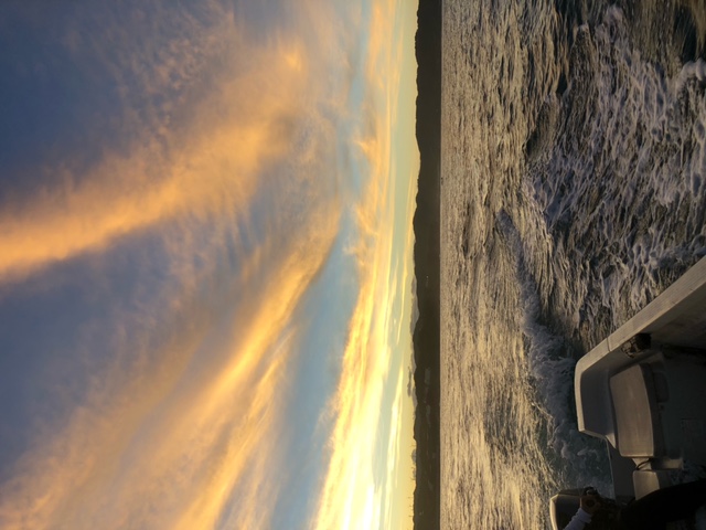 和歌山県木下丸の船釣りでアジ・サバ・ヒラメ・オウモンハタ釣果