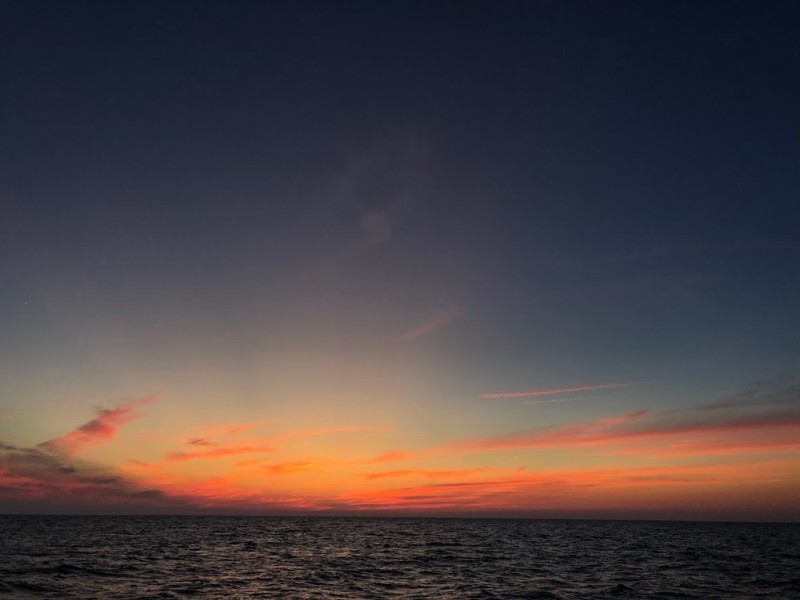 京都府京丹後SUGURUMARUの船釣りでマイカ釣果
