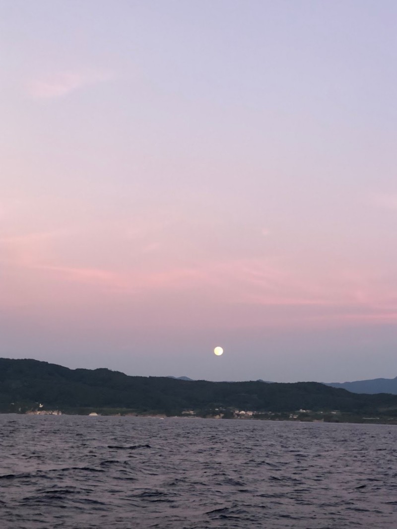 京都府京丹後SUGURUMARUの船釣りでマイカ釣果