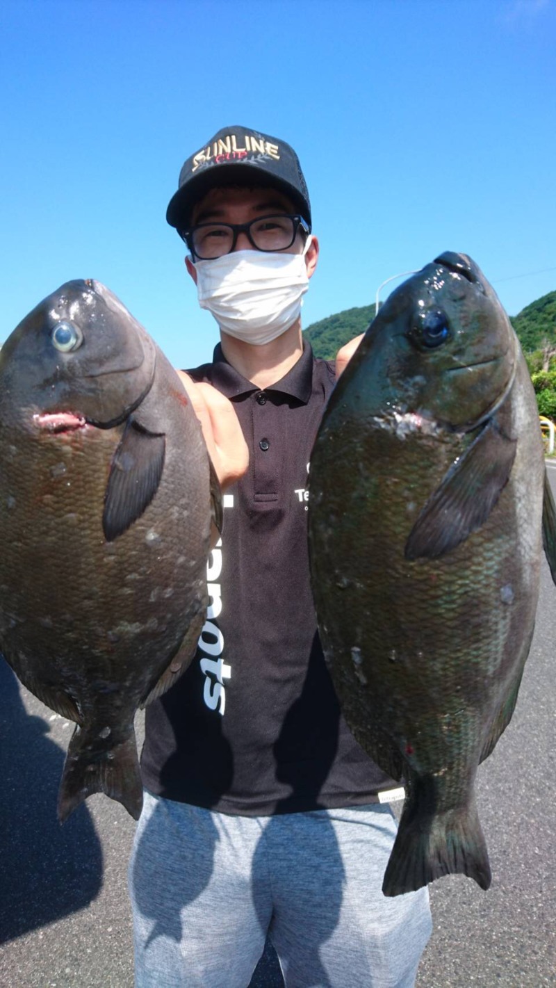 島根県隠岐諸島福友渡船の磯フカセで尾長グレ釣果