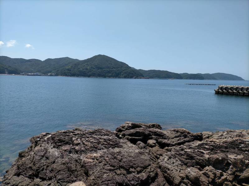 和歌山県紀伊由良のちょい投げでキス・ガシラ釣果