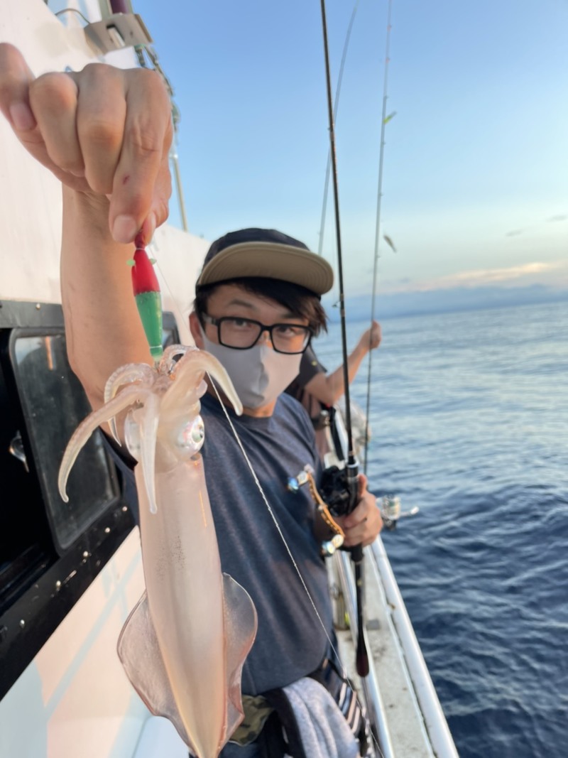 鳥取県鳥取市夕凪の船釣りでケンサキイカ釣果