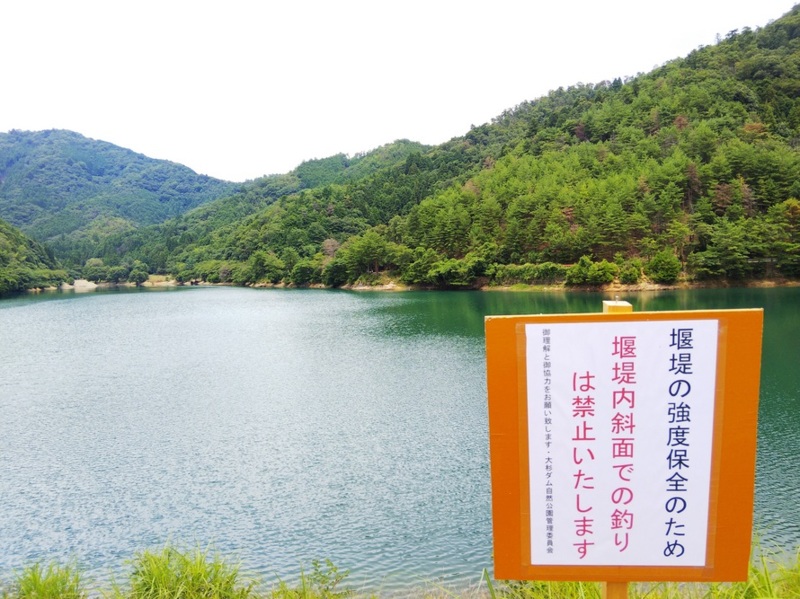兵庫県丹波市大杉ダムの野釣りでヘラブナ釣果