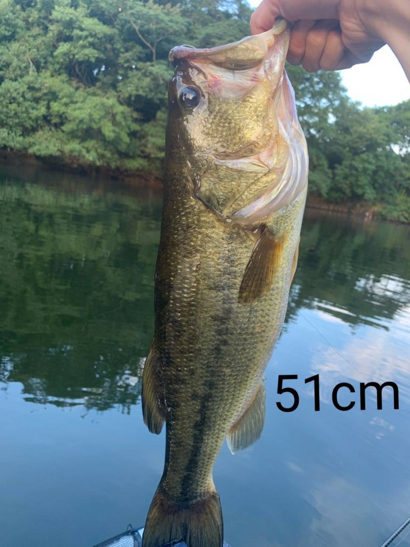 兵庫県淡路島のルアーでブラックバス釣果