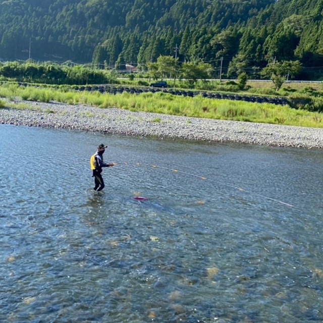 滋賀県安曇川村上おとり店の友釣りで鮎釣果