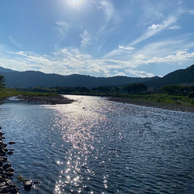 滋賀県安曇川村上おとり店の友釣りで鮎釣果