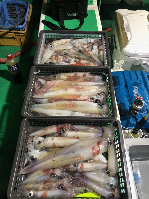 福井県福丸F-クラウドの船釣りでイカ釣果