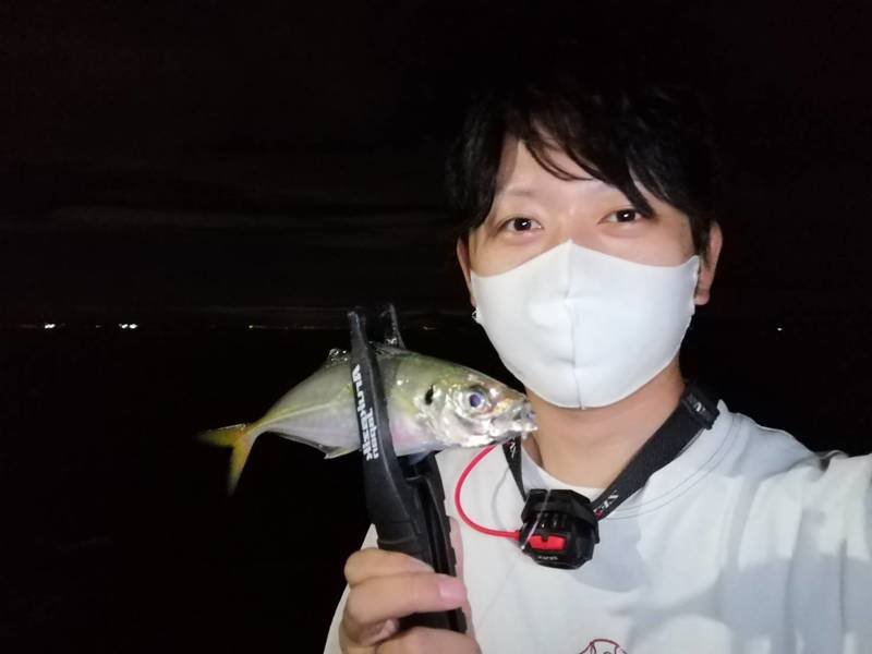 大阪府のフロートアジングでアジ釣果