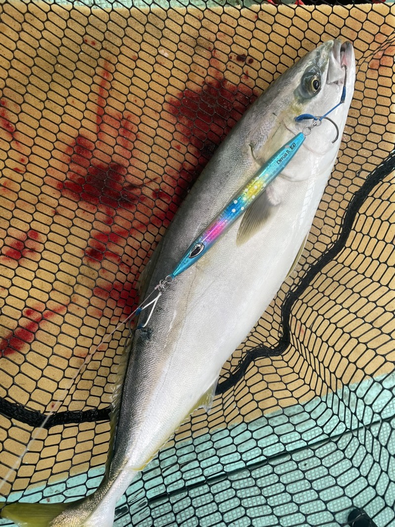 兵庫県耕栄丸の船釣りでタチウオ・ ハモ・ハマチ釣果