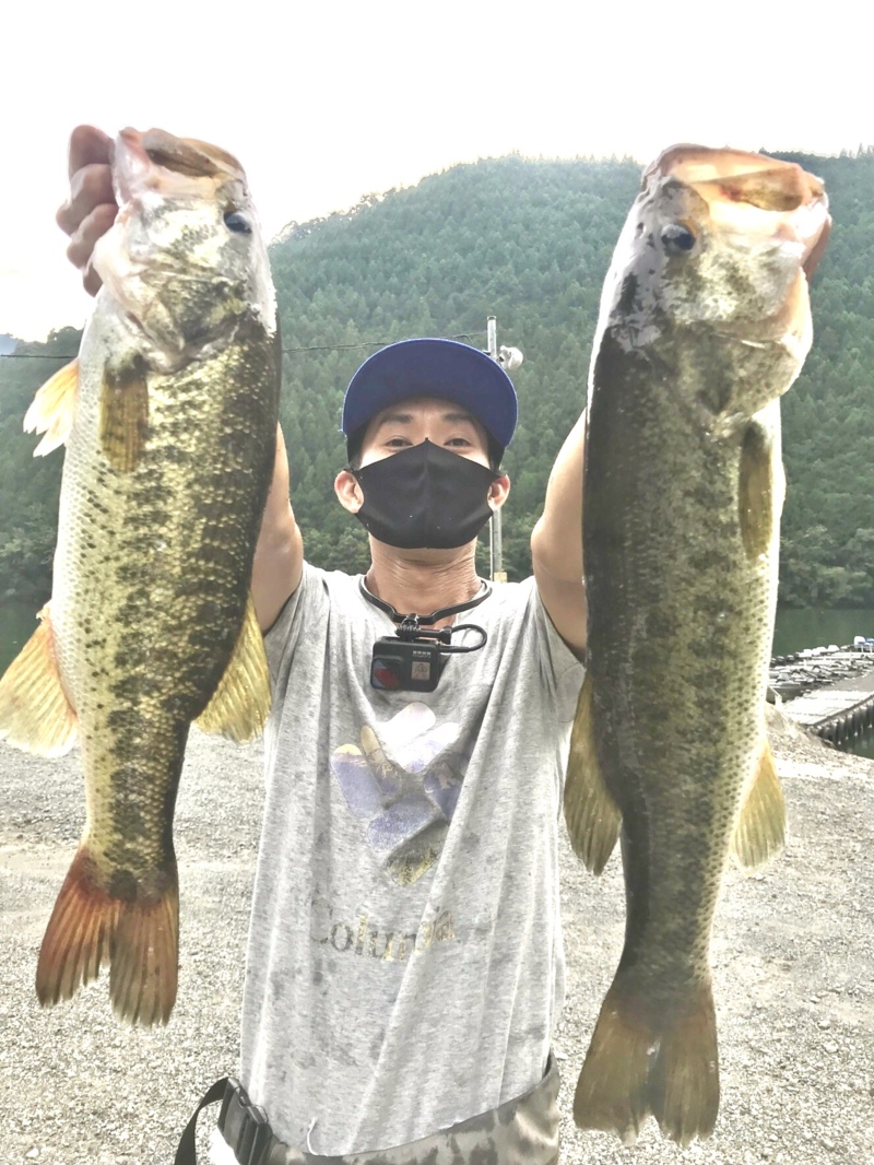 奈良県の七色ダムでブラックバス釣果