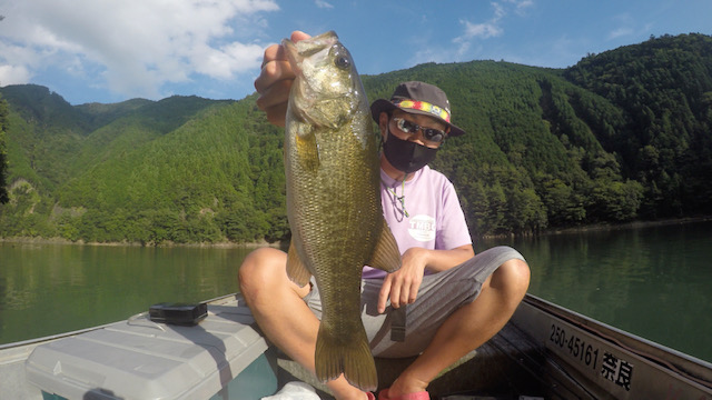 奈良県Y企画の池原ダムでブラックバス釣果