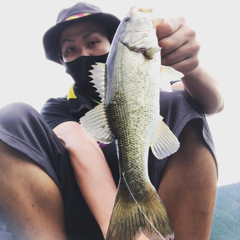 奈良県Y企画の池原ダムでブラックバス釣果