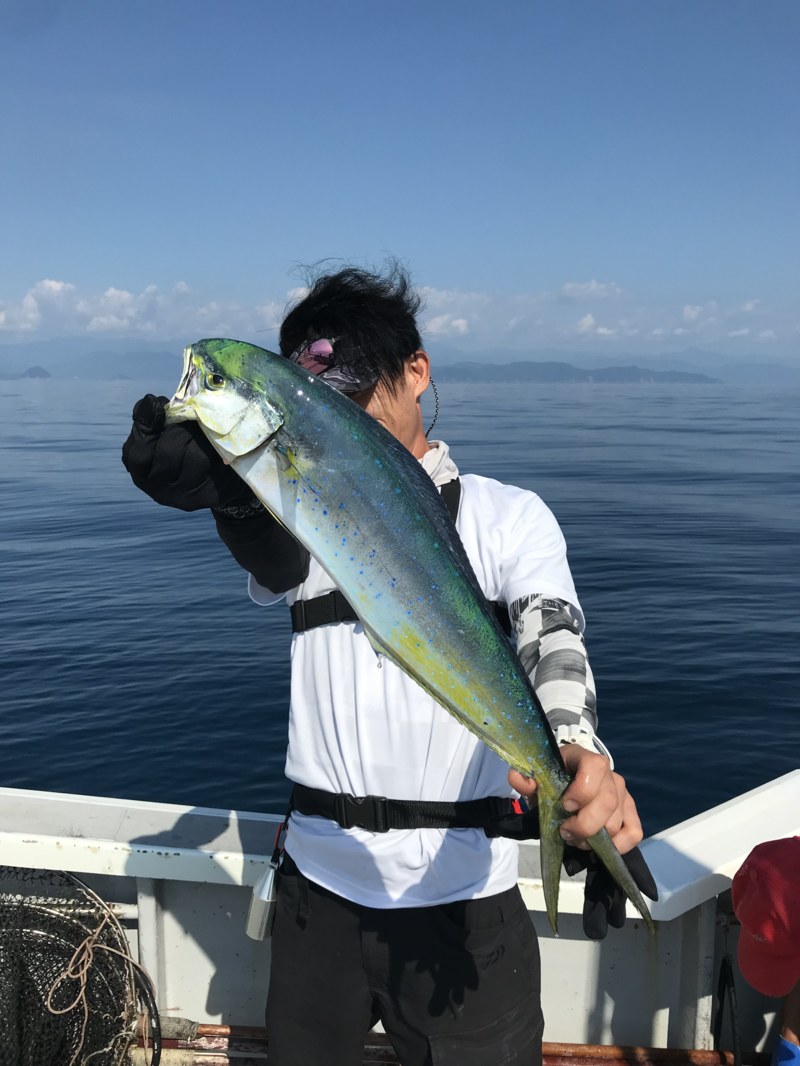 三重県志摩テンヤ丸の船釣りでシイラ釣果