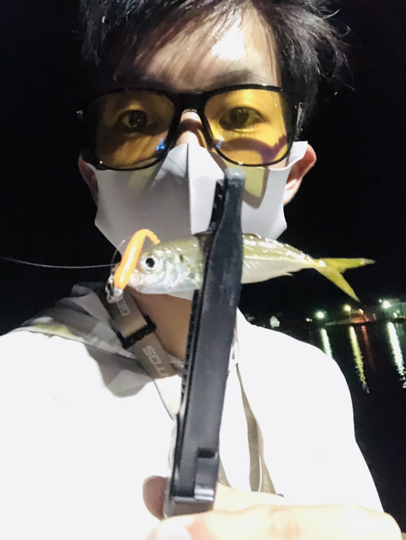 福井県のアジングでアジ釣果