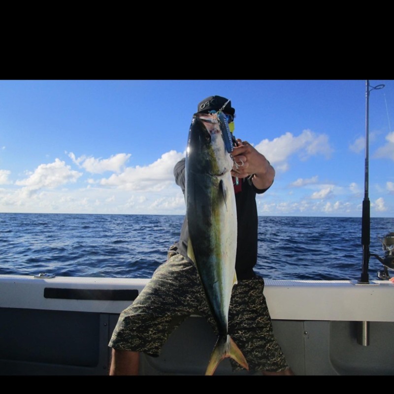 京都府舞鶴市ノースポイントの船釣りでメジロ釣果
