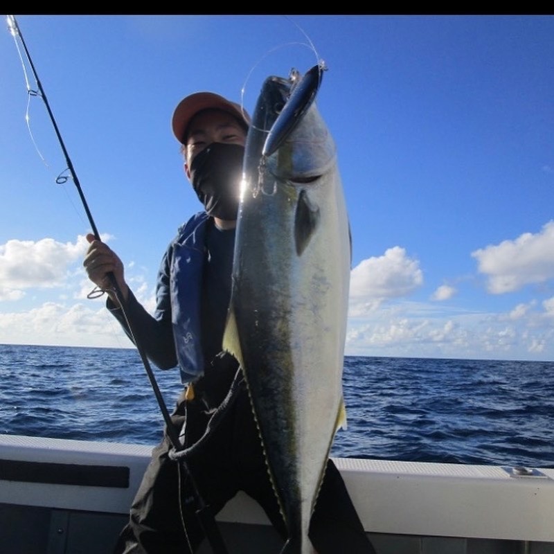 京都府舞鶴市ノースポイントの船釣りでメジロ釣果