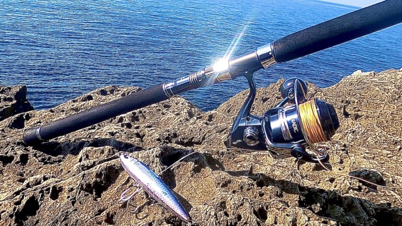 和歌山県上野渡船のルアーでシイラ釣果