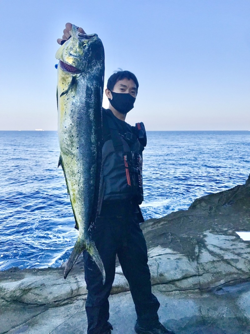 和歌山県上野渡船のルアーでシイラ釣果